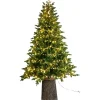 Albero di Natale Illuminato Darcy con Tronco 1450LED h240Ø145cm PE+PVC