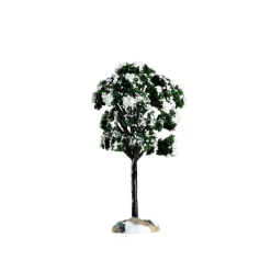 Balsam Fir Tree Small Cod. 64089