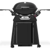Barbecue Weber a Gas Q 2800N+ Con Carrello Premium Black Cod. 1501123