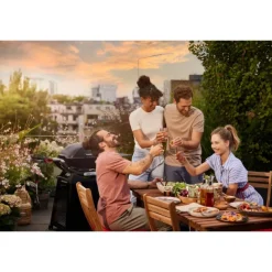 Barbecue Weber a Gas Q 2800N+ Con Carrello Premium Black Cod. 1501123