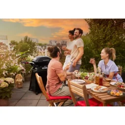 Barbecue Weber a Gas Q 2800N+ Con Carrello Premium Black Cod. 1501123