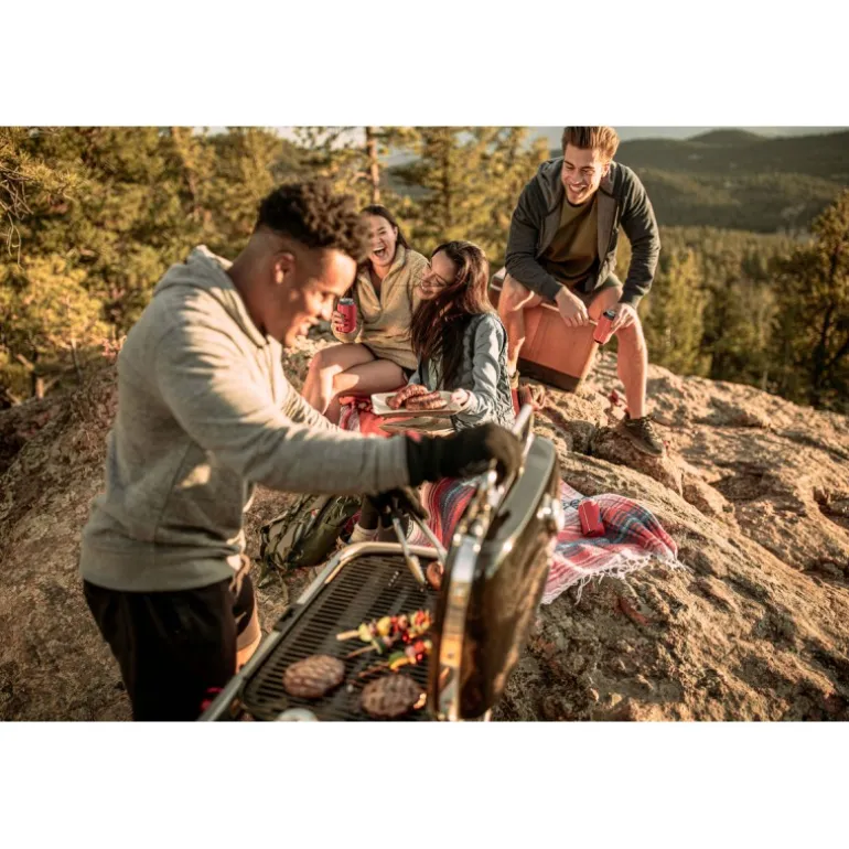 Barbecue Weber a Gas Traveler Black Cod. 9010053