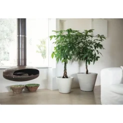 Campana Shabby Rigata