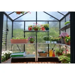 Canopia Glory Serra Da Giardino in Policarbonato di Premium 244X253X268 cm