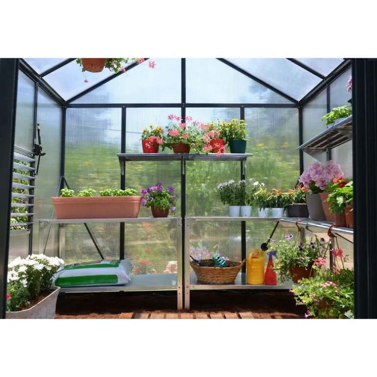 Canopia Glory Serra Da Giardino in Policarbonato di Premium 244X253X268 cm