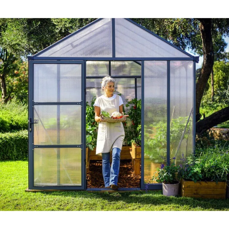 Canopia Glory Serra Da Giardino in Policarbonato di Premium 244X253X268 cm