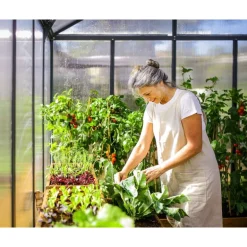 Canopia Glory Serra Da Giardino in Policarbonato di Premium 604X253X268 cm