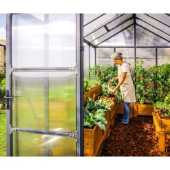 Canopia Glory Serra Da Giardino in Policarbonato di Premium 364X253X268 cm