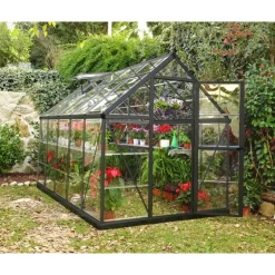 Canopia Harmony Trasparente Serra Da Giardino in Policarbonato 306X185X208 cm Grigio