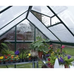 Canopia Harmony Trasparente Serra Da Giardino in Policarbonato 306X185X208 cm Verde