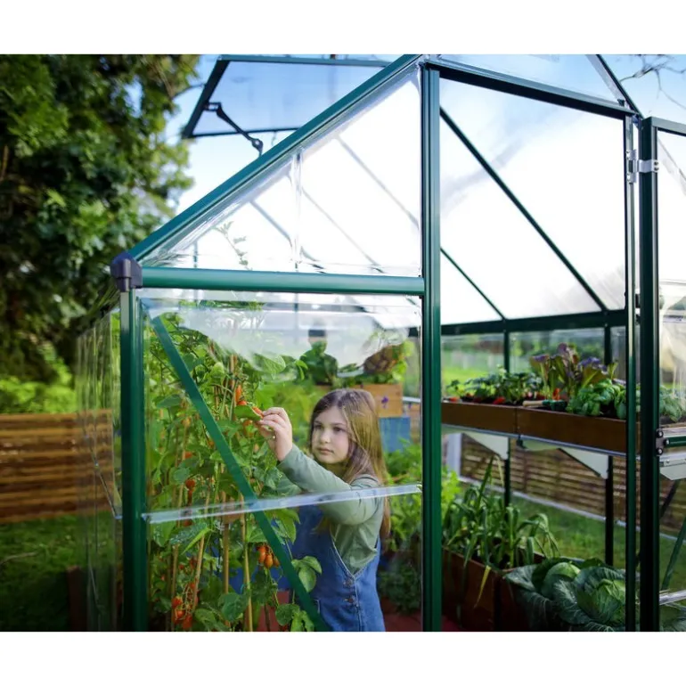 Canopia Hybrid Serra Da Giardino in Policarbonato 186X185X208 cm Verde