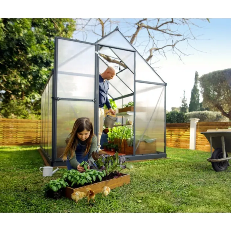 Canopia Hybrid Serra Da Giardino in Policarbonato 426X185X208 cm Verde