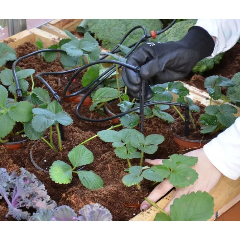 Canopia Kit Per Irrigazione A Goccia