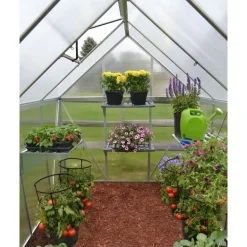 Canopia Mythos Doppio Strato Serra Da Giardino in Policarbonato 247X185X208 cm Argento