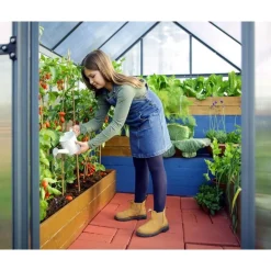 Canopia Mythos Doppio Strato Serra Da Giardino in Policarbonato 247X185X208 cm Grigio