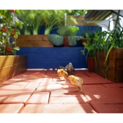 Canopia Mythos Doppio Strato Serra Da Giardino in Policarbonato 370X185X208 cm Argento