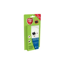 Fastion Box Scarafaggi 5 g SBM