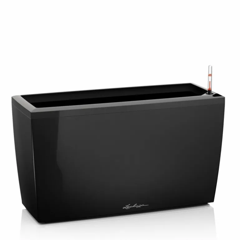 Fioriera Cararo 75 Lechuza Set Completo