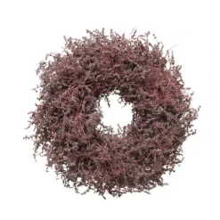 Ghirlanda di Asparagi Rosso 60 cm