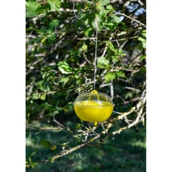 Kit Trappola MELATRAP + VESPOKIL InVerde