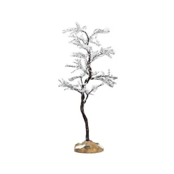 Morning Dew Tree, Medium Cod. 74250