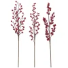 Ramo con Bacche Rosse 67 cm. Pezzo Singolo.
