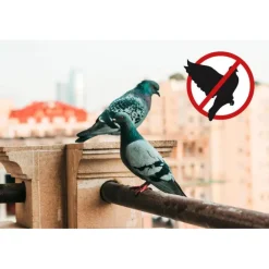 Stocker Geyser Nebulizzatore Mini 2 L Li-Ion 2,5 Br per Zanzare e Piccioni