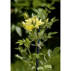 Stocker Jutec filo di iuta biodegradabile 50 m naturale