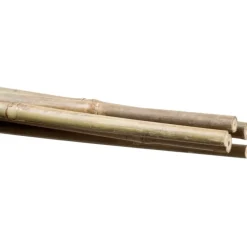 Stocker Reggipiante in bambù 6 8 mm 60 cm