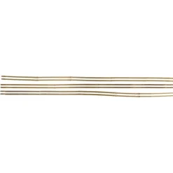 Stocker Tutori in bambù sfusi 210 / diametro 22 24 - 1 pezzo