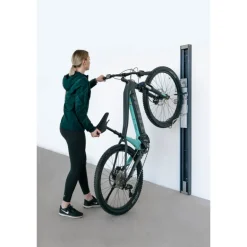 Telaio Porta Bici Bike Lift per Casetta in Metallo Biohort