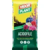 Terriccio Acidofile 25 litri Vigorplant