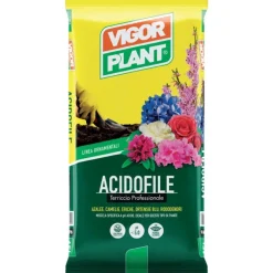 Terriccio Acidofile 45 litri Vigorplant