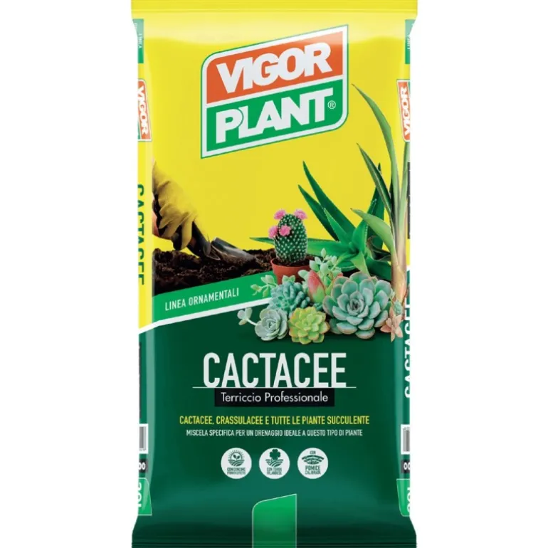 Terriccio Cactacee 5 litri Vigorplant