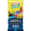 Terriccio Cinquestelle 45 litri Vigorplant