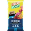 Terriccio Potgrond 45 litri Vigorplant