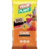 Terriccio Semine 25 litri Vigorplant