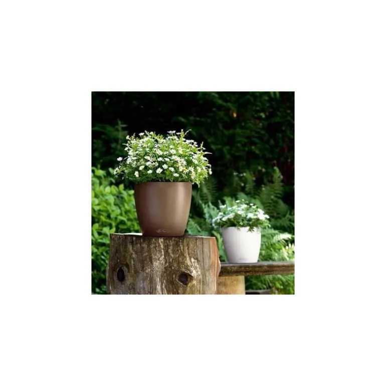 Vaso Classico Color 28 Lechuza Set Completo