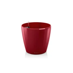 Vaso Classico Premium 43 Lechuza Set Completo