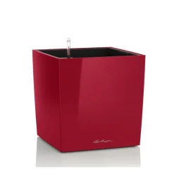 Vaso Cube 30 Lechuza Set Completo