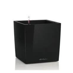 Vaso Cube 30 Lechuza Set Completo