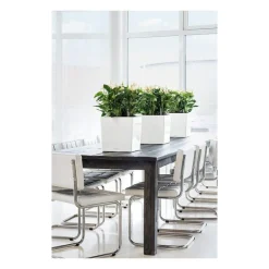 Vaso Cube 30 Lechuza Set Completo