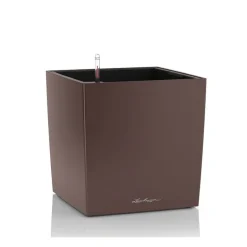 Vaso Cube 50 Lechuza Set Completo