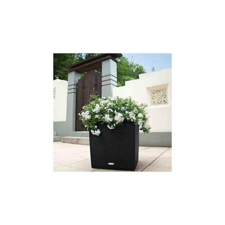 Vaso Cube Cottage 40 Lechuza Set Completo