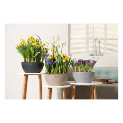 Vaso Cubeto 40 Lechuza Set Completo