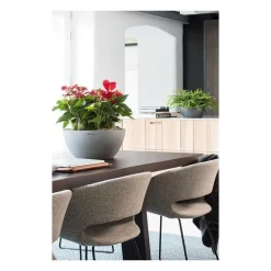 Vaso Cubeto 40 Lechuza Set Completo