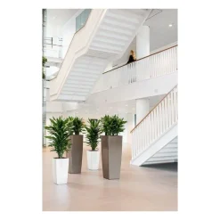 Vaso Cubico Alto Lechuza Set Completo