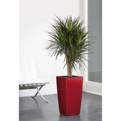 Vaso Cubico Premium 30 Lechuza Set Completo