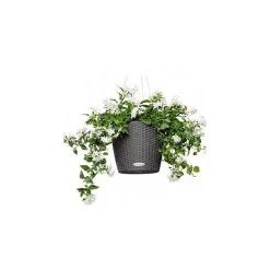 Vaso Nido Cottage Lechuza Set Completo