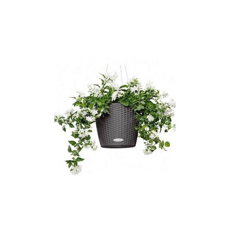 Vaso Nido Cottage Lechuza Set Completo